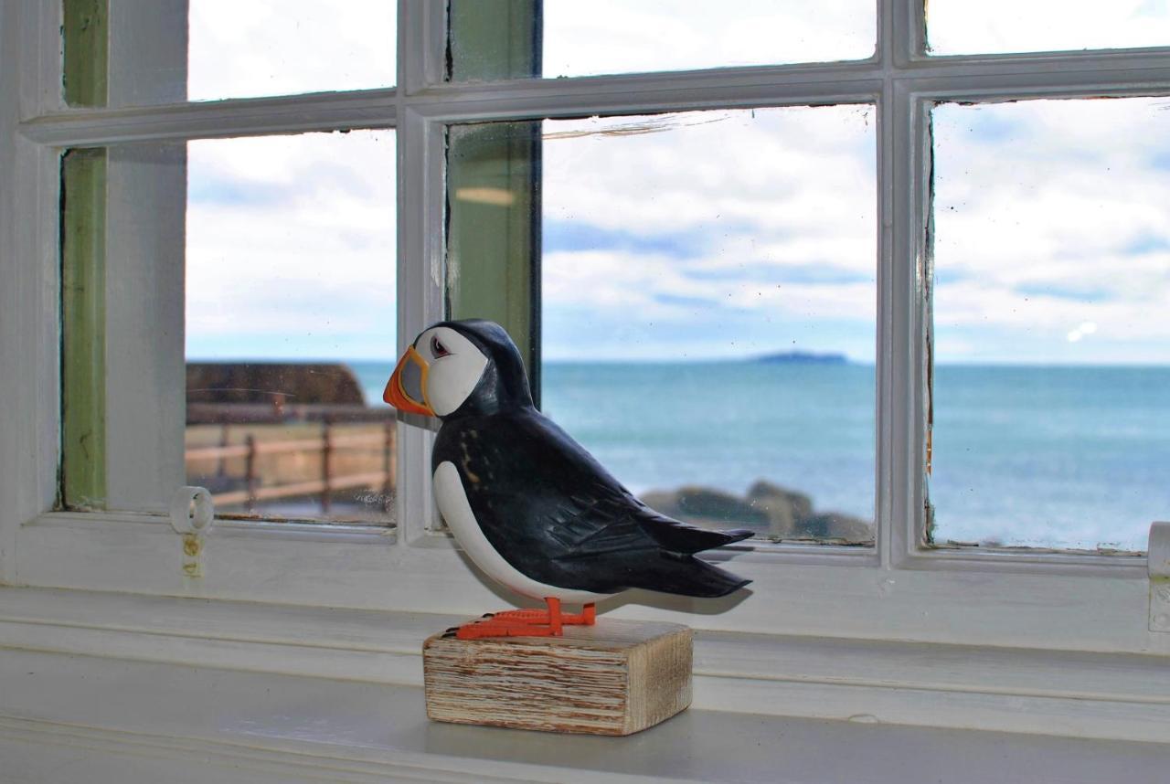 Aqua Vista- Seafront Cottage Cellardyke 앤스투루더 외부 사진